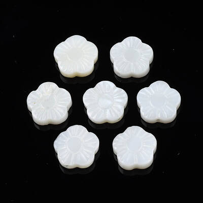 Natural Freshwater Shell Beads