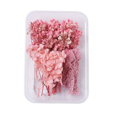 Dried Flowers