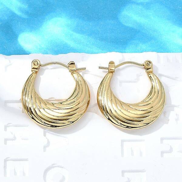 304 Stainless Steel Hoop Earrings for Women