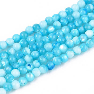 Dyed Natural Trochid Shell/Trochus Shell Beads Strands