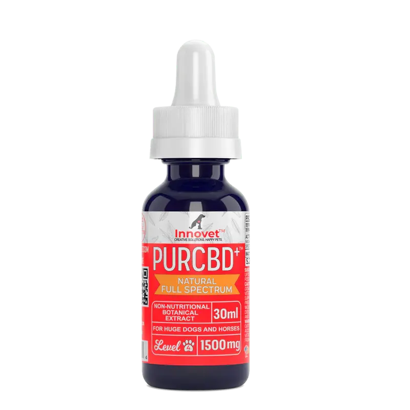 CBD Oil for Horses