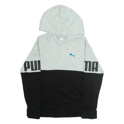 PUMA Mens Grey Hoodie L