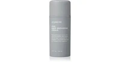 AYUNCHE Pro deep regeneration cream for damaged hair 100 ml