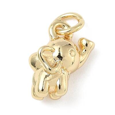 Brass Charms
