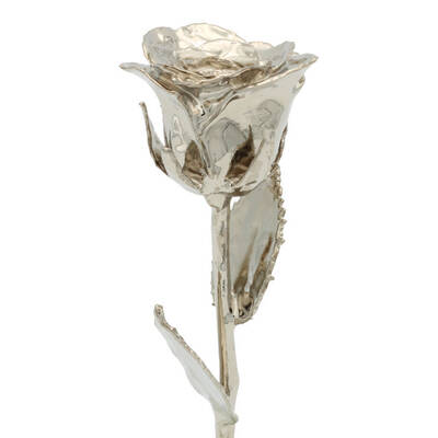 8 Platinum Dipped Rose