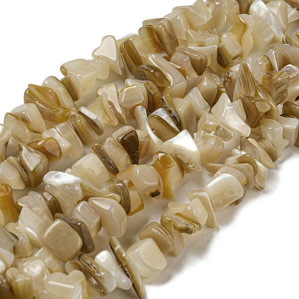 Natural Yellow Shell Beads Strands