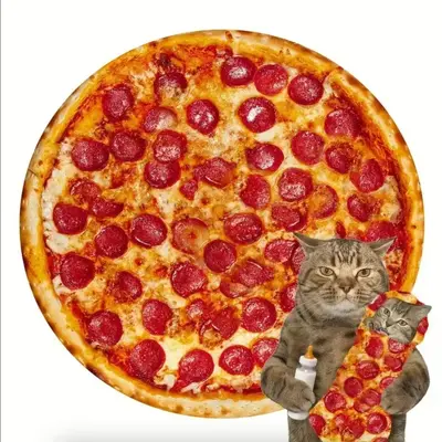 Creative Round Food Design Blanket, 1 Count Soft Portable Nap Blanket for Bedroom, Rest Blanket for Air-conditioned Room, War...