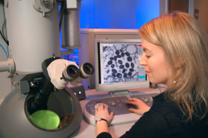 Diploma in Metabolic Network Analysis and Applications