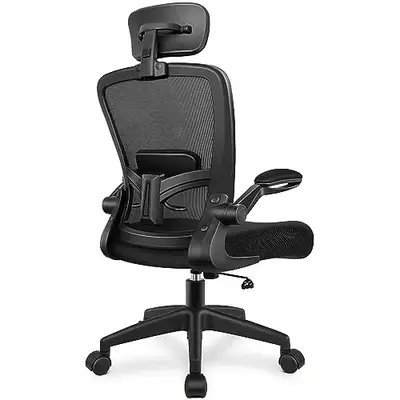 Ergonomic Office Chair, Headrest Desk Chair with Adjustable Lumbar Support, Home Office Swivel Task Chair with High Back and ...