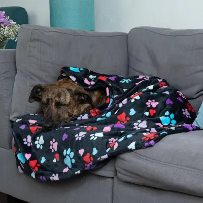 Super Cozy™ Pet Blanket - Decadent Paws - L
