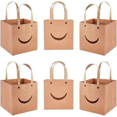 Funny Craft Paper Handbags
