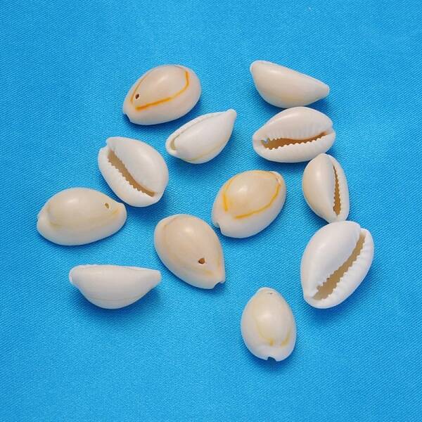 Natural Cowrie Shell Beads