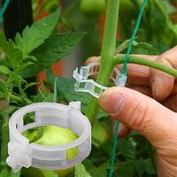 Plant Support Clip, 100pcs Garden Plant Support Clip, Vine Clip, Tomato Vine Clip, Plant Care & Support Tool for Garden, Port...