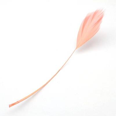 Fashion Goose Feather Costume Accessories