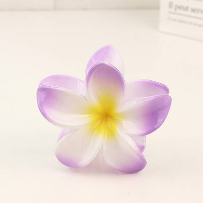 Plastic Claw Hair Clip