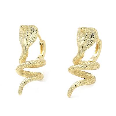 Rack Plating Brass Hoop Earrings