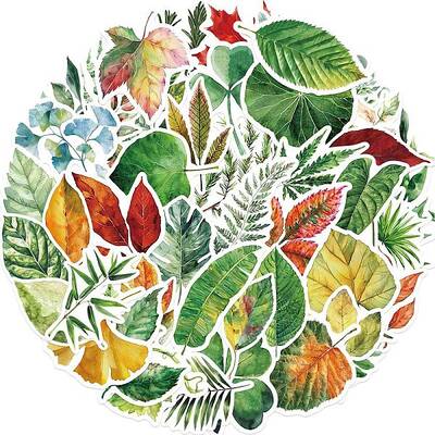 50Pcs PVC Self-Adhesive Leaf Stickers