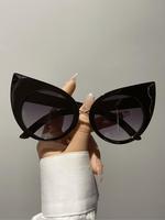 Creative Cute Large Size Cat Eye Frame Glasses, Trendy Outdoor Beach Party Glasses, Fashion Accessories for Women & Men