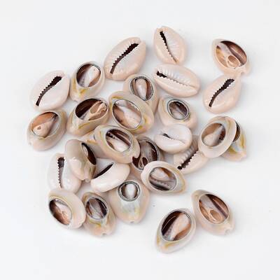 Natural Cowrie Shell Beads
