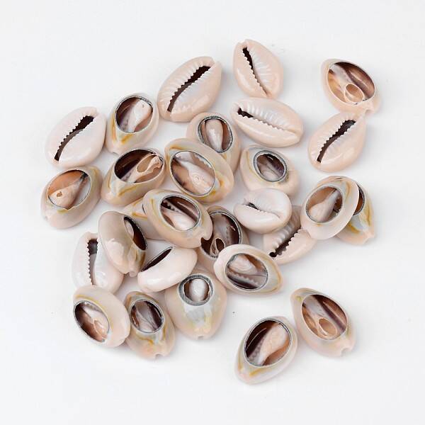 Natural Cowrie Shell Beads