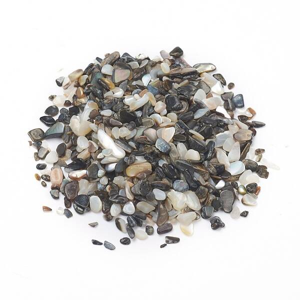 Natural Freshwater Shell Beads