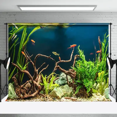 Aquarium Green Natural Seaweed Stones Fish Backdrop - Aperturee