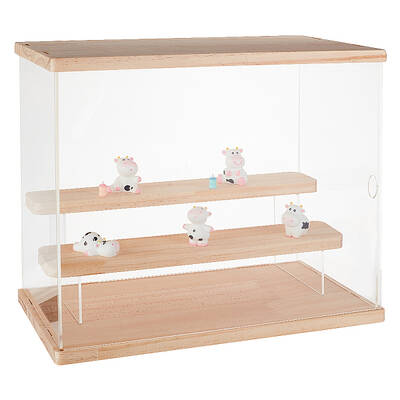 Acrylic Display Frame