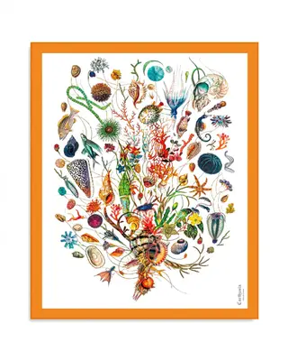 Carthusia A'mmare Cotton Pareo White Background Orange Border