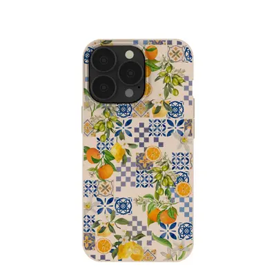 Seashell Amalfi Fruits iPhone 13 Pro Case