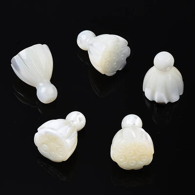 Natural Trochid Shell/Trochus Shell Beads