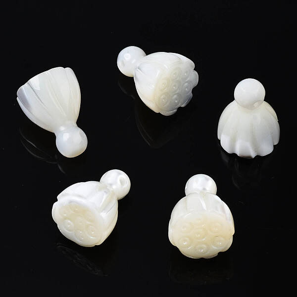 Natural Trochid Shell/Trochus Shell Beads