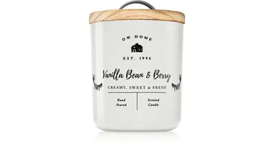 DW Home Farmhouse Vanilla Bean & Berry Scented Candle 255g