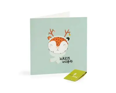 Recycled Christmas Cards - Cute Animal Cards (FSC 100%) | Style: Cat
