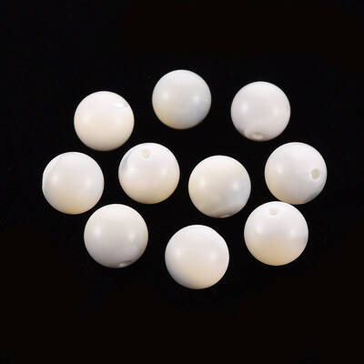 Natural Trochid Shell/Trochus Shell Beads