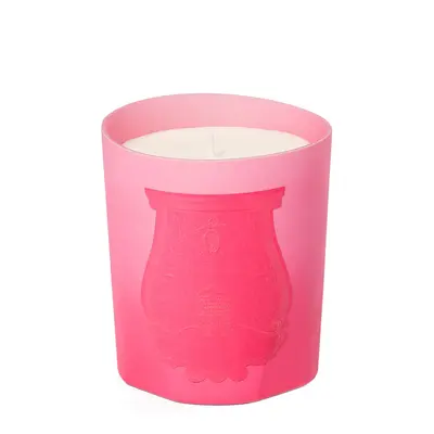 Trudon Summer Haze Candle in limited edition