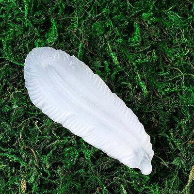 Natural Selenite Charging Bowl for Cleansing