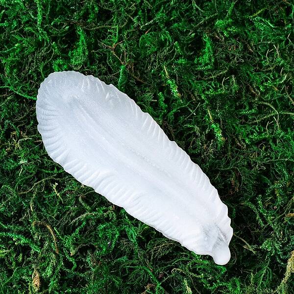 Natural Selenite Charging Bowl for Cleansing