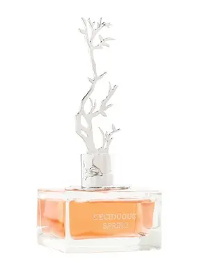 Aurora scents Deciduous Spring - EDP 100 ml + EDP 9 ml