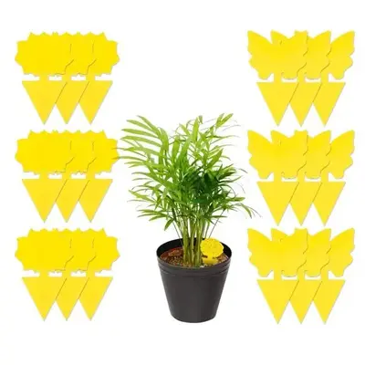 Samerd 48-Pack Sticky Fruit Fly Fungus Gnat Traps, Non-Toxic,Indoor/Outdoor,Yellow Traps for Plants,Flowers,Garden,Light,Mosq...