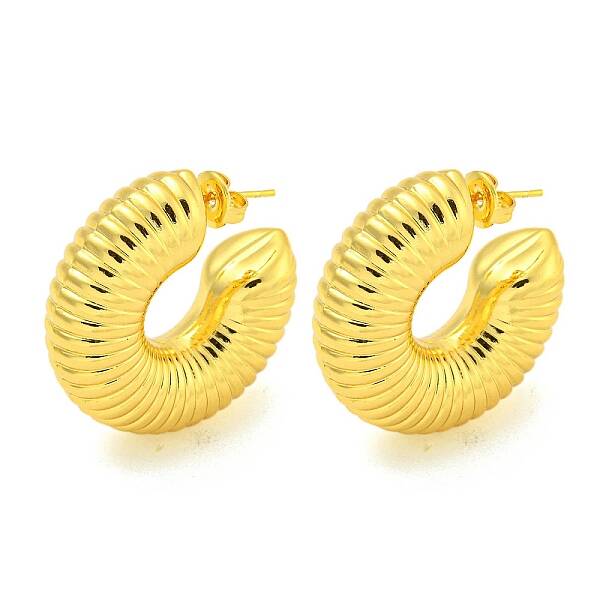 304 Stainless Steel Earrings