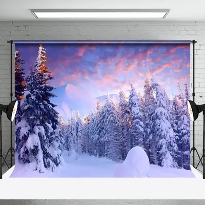 Aperturee Peaceful Winter Forest Dusk Scenery Photo Backdrop - Aperturee
