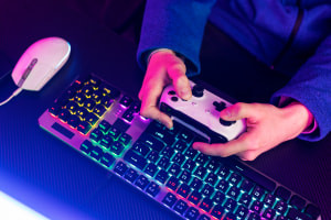 Understanding the Economics of Video Games