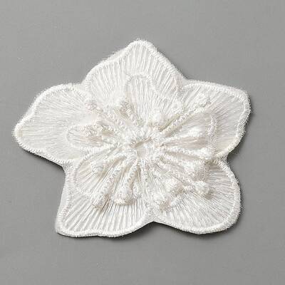 Computerized Embroidery Lace Self Adhesive/Sew on Patches