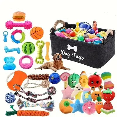 Random style Dog Toy Set, 10/20/30pcs Interactive Chewing Toy, Durable Plastic Dog Toy, Suitable for Small to Medium-sized Do...