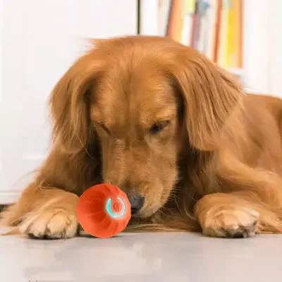 USB Rechargeable Smart Dog Toy Ball, Electronic Interactive Pet Toy, Moving Ball, Automatic Bouncing Ball for Puppy Birthday ...
