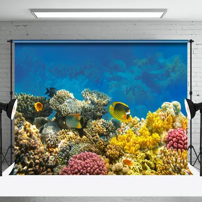 Colorful Coral Fish Seabed Natural Scenery Backdrop - Aperturee