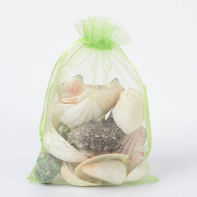 Organza Gift Bags with Drawstring