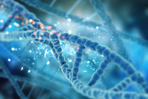 Basics of Molecular Genetics