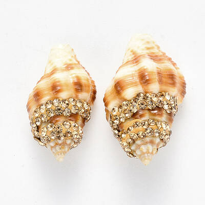 Spiral Shell Beads