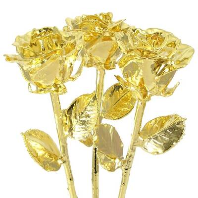 3 Real 17 Past, Present, Future Roses Dipped in Gold